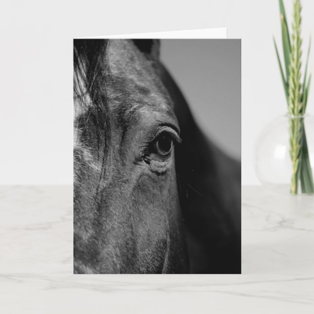Tarjeta Arte de Ojo de Caballo Blanco Negro (Anverso)