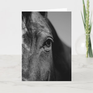 Tarjeta Arte de Ojo de Caballo Blanco Negro