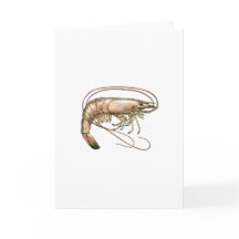 Arte de Shrimp del Sur