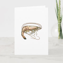 Tarjeta Arte de Shrimp del Sur