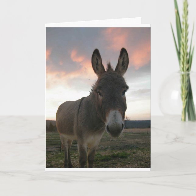 Tarjeta Arte del burro (Anverso)