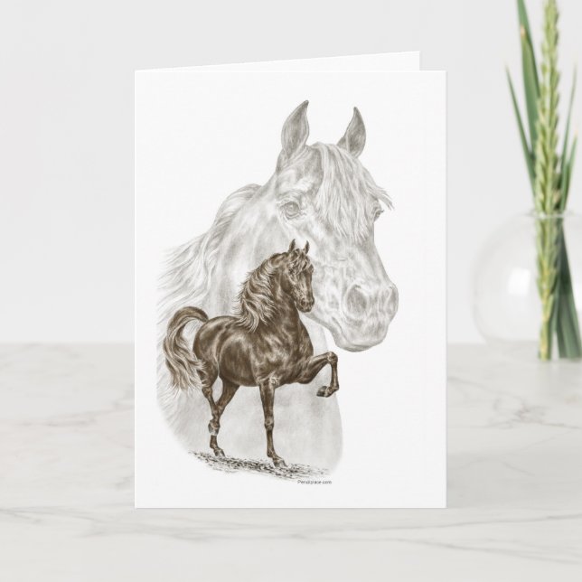 Tarjeta Arte del caballo de Morgan (Anverso)