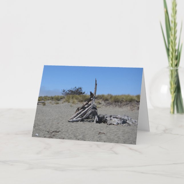 Tarjeta Arte del Driftwood en la playa de Doran (Anverso)