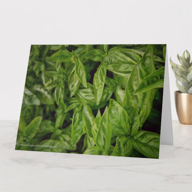 Tarjeta Arte Fino de Albahaca (Planta pequeña)