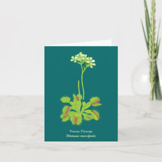Tarjeta Arte floral vegetal carnívoro