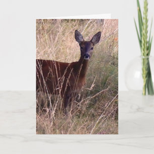 Tarjeta Arte gráfico de Roe Deer