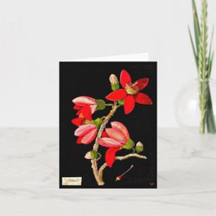 Tarjeta Arte-Maria Notecard-Botánica Delany 17