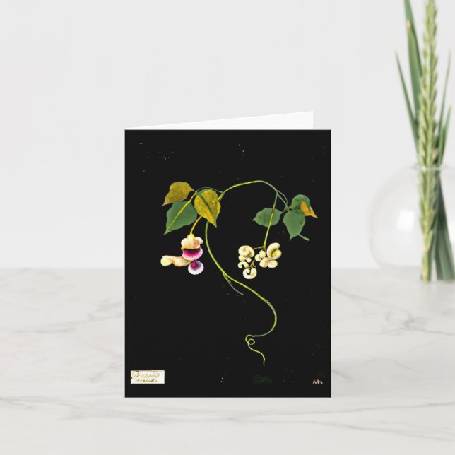 Tarjeta Arte-Maria Notecard-Botánica Delany 5 (Anverso)