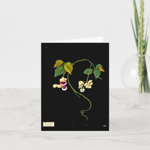 Tarjeta Arte-Maria Notecard-Botánica Delany 5