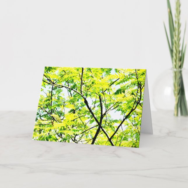 Tarjeta Arte pop canopy de árbol (Anverso)
