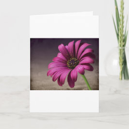 Tarjeta Arte púrpura rosado de la paz del amor de los