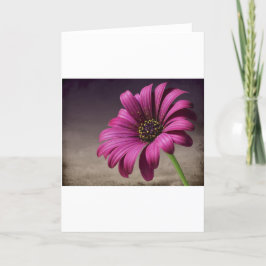 Tarjeta Arte púrpura rosado de la paz del amor de los
