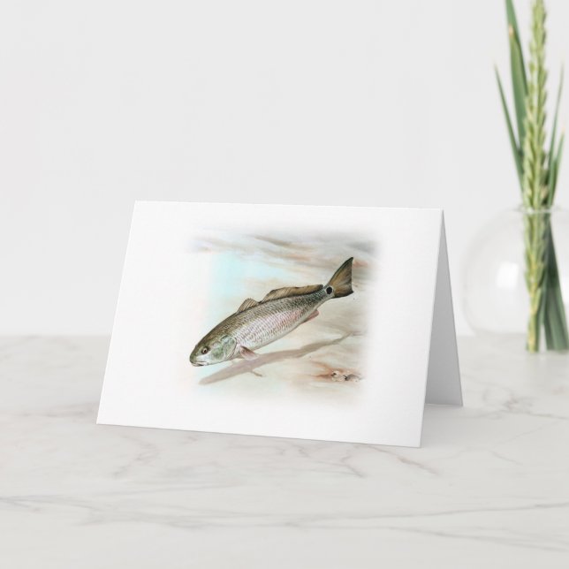 Tarjeta Arte Redfish (Anverso)
