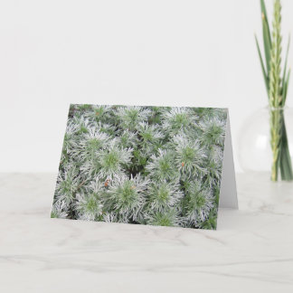 Tarjeta Artemisia del castillo de Powis