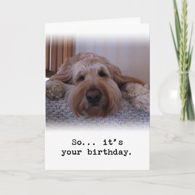 Tarjeta Así que... Es tu cumpleaños (Anverso)