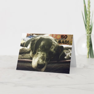 TARJETA ASÍ QUE TRISTE VER QUE TE VAS - PUP ES TAN INFELIZ