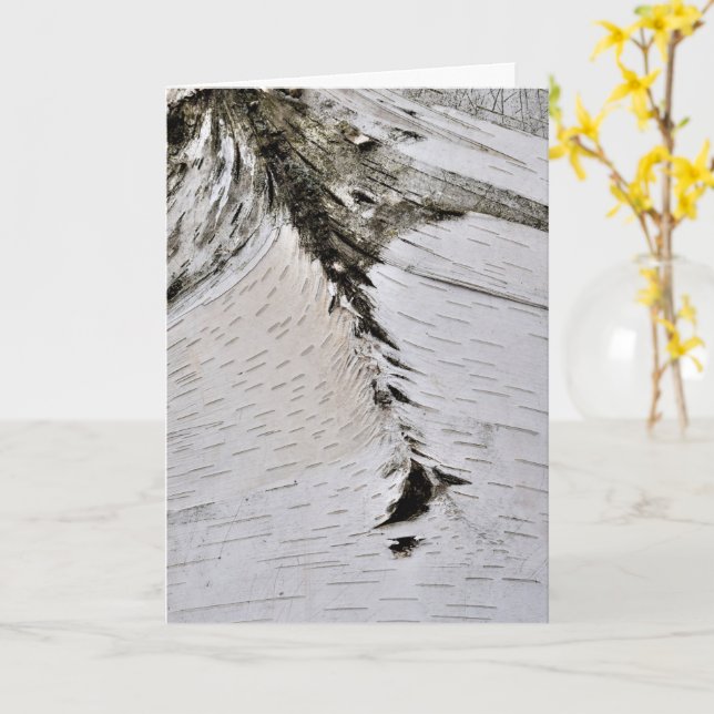 Tarjeta Aspen Bark Close (flor amarilla)