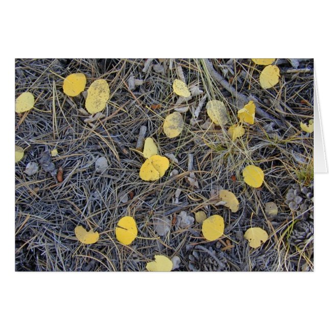 Tarjeta Aspen Ground II (Anverso (Horizontal))