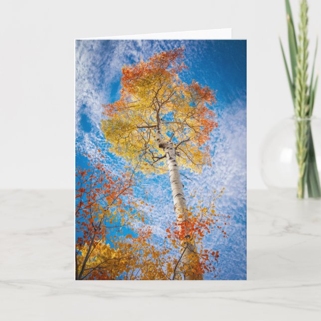 Tarjeta Aspen, interior en blanco (Anverso)