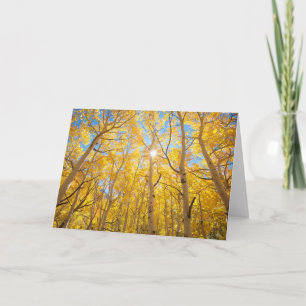 Tarjeta Aspen Trees Sierra Nevada, CA