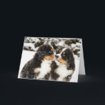 Tarjeta Aspiración de las marionetas del perro de montaña<br><div class="desc">Las marionetas del perro de montaña bernese Nevado huelen cada otras</div>