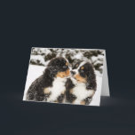 Tarjeta Aspiración de las marionetas del perro de montaña<br><div class="desc">Las marionetas del perro de montaña bernese Nevado huelen cada otras</div>