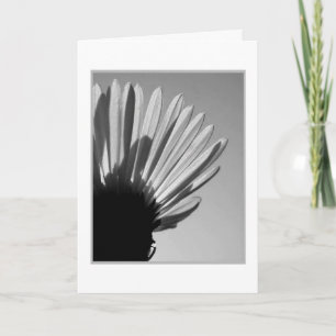 Tarjeta ASTER: Una Muerte Cae . ...