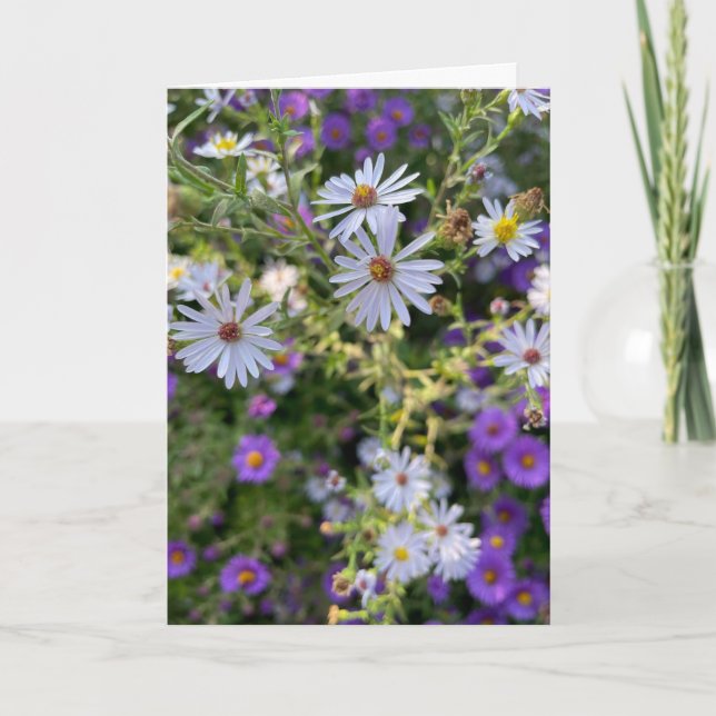 Tarjeta Asteres (Anverso)