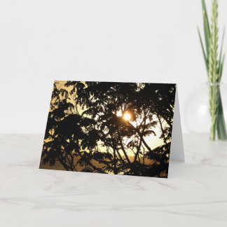 Tarjeta Atardecer a través de árboles en fotografía tropic