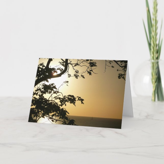 Tarjeta Atardecer a través de árboles II Fotografía tropic (Anverso)