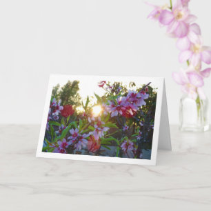 Tarjeta Atardecer de flores de árbol de almendro