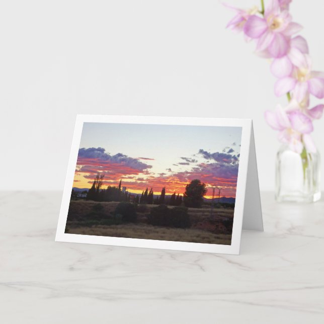 Tarjeta Atardecer de la noche de la silueta de árbol (Orquídea)