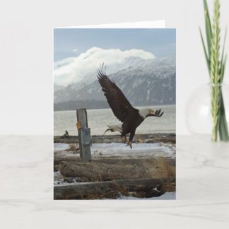 Tarjeta Aterrizaje Eagle
