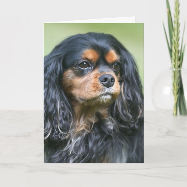 Tarjeta Atesorando Nuestra Amistad Cavalier King Charles (Anverso)