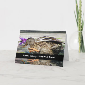 Tarjeta Atractivo Mallard Get Well Card