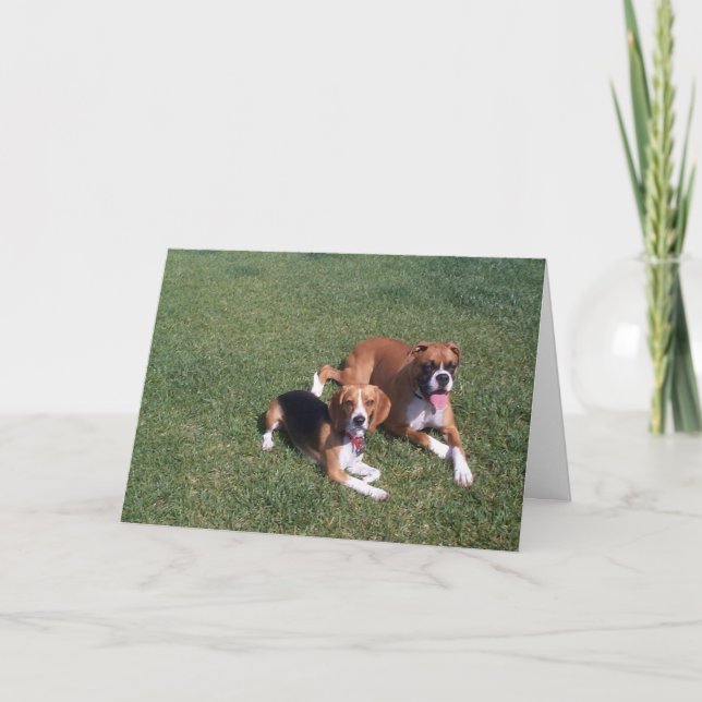 Tarjeta Atrás (Anverso)