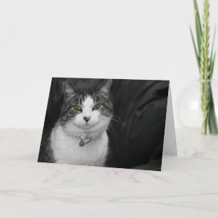 Tarjeta Atrévase a mirar mis ojos verdes