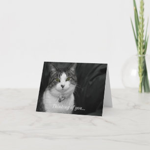 Tarjeta Atrévete a mirar mis ojos verdes pensando en ti