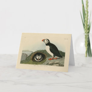 Tarjeta Atún de aleta atlántica de los pájaros de América 