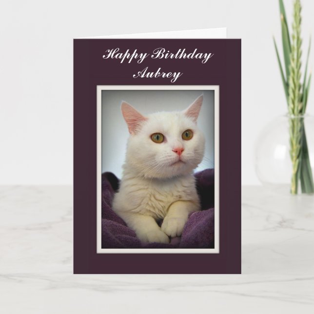 Tarjeta Aubrey Happy Birday White Cat Card (Anverso)