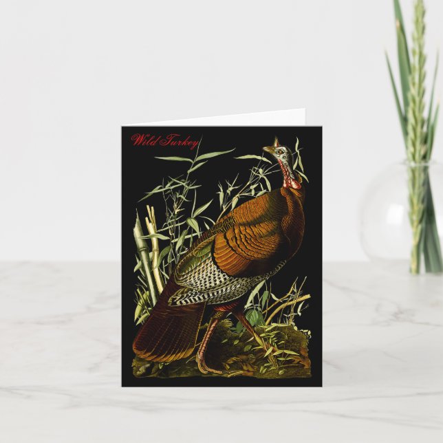 Tarjeta Audubon Wild Turkey North American Birds Education (Anverso)