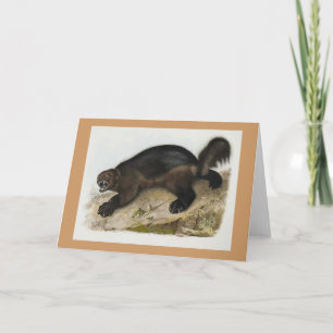 Tarjeta Audubon - Wolverine