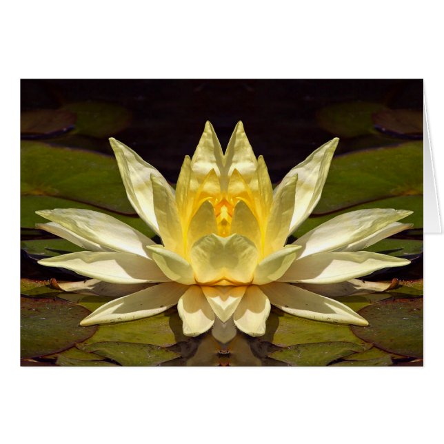 Tarjeta aumentada Lotus1 (Anverso (Horizontal))