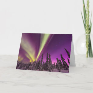 Tarjeta Aurora Boreal Luces del Norte Fairbanks Alaska