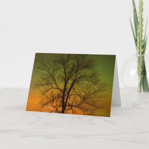 Tarjeta Aurora Boreal y Álamo