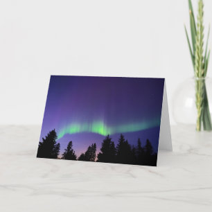 Tarjeta Aurora Borealis & Trees   Manitoba, Canadá