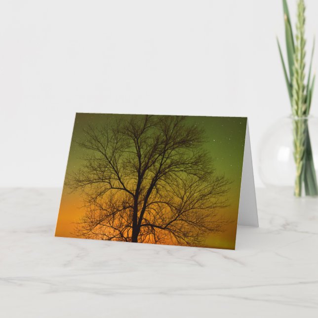 Tarjeta Aurora Borealis y Cottonwood Tree (Anverso)