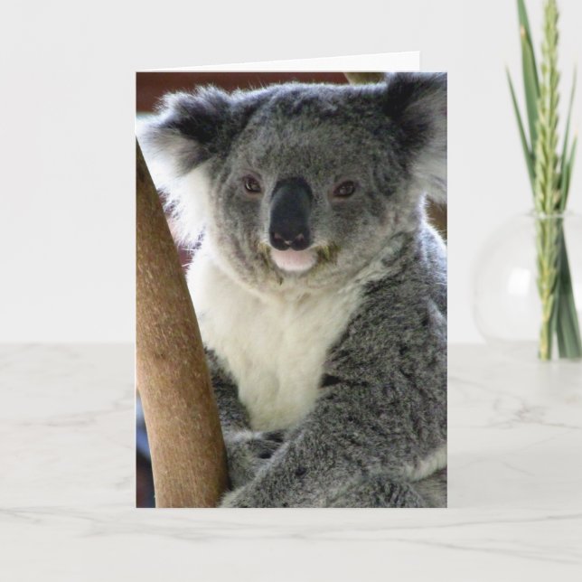 Tarjeta aussie koala (Anverso)