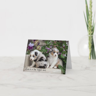 Tarjeta Aussies Azules Notecard Cachorros 1