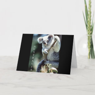 Tarjeta Australia Koala Bear
